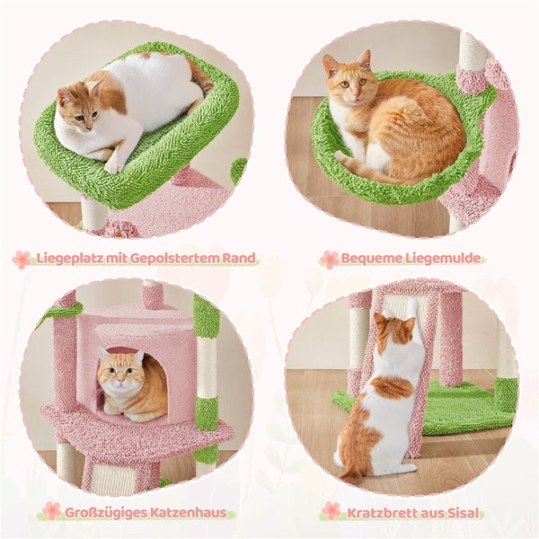 Collage eines Katzenkratzbaums mit Liegeflächen, Katzenhaus und Sisalkratzbrett