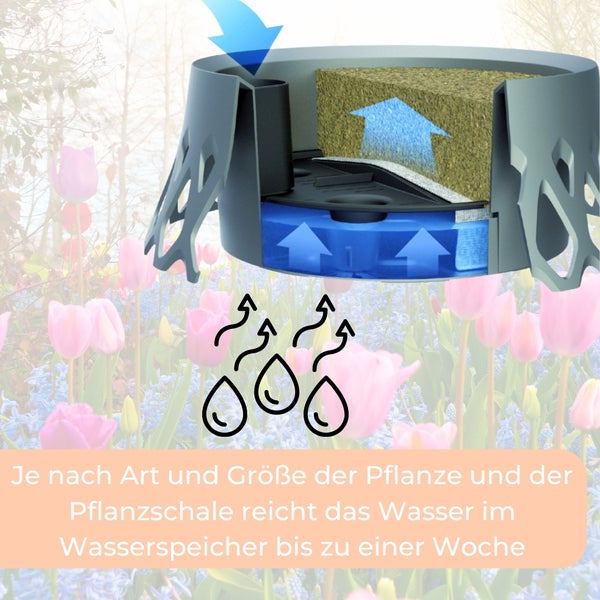 Illustration eines Bewässerungssystems für Pflanzen, das die Wasserzufuhr aus einem Wasserspeicher zeigt