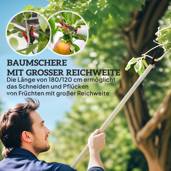 Baumschere mit grosser Reichweite für Baumschnitt und Ernte
