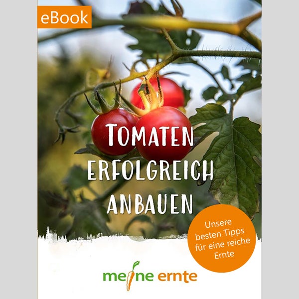 E-Book Tomaten erfolgreich anbauen, digitaler Beetplan, Pflanzplan, Anleitung, Selbstversorgung, Tomatenanzucht von Saatgut bis zur Ernte