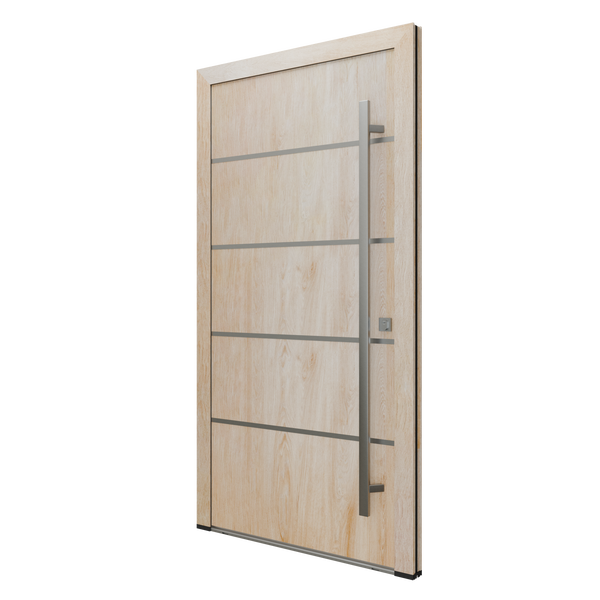 Haustür mit Griffstange