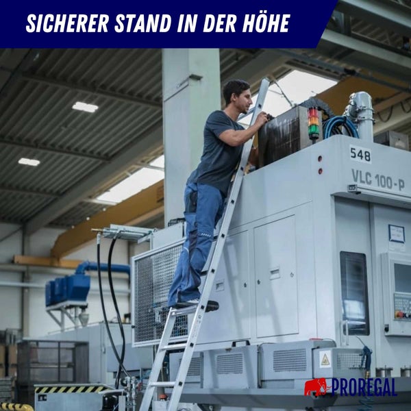 PROREGAL Sprossen-Anlegeleiter 350 mm Breit Ohne Traverse 6 Sprossen