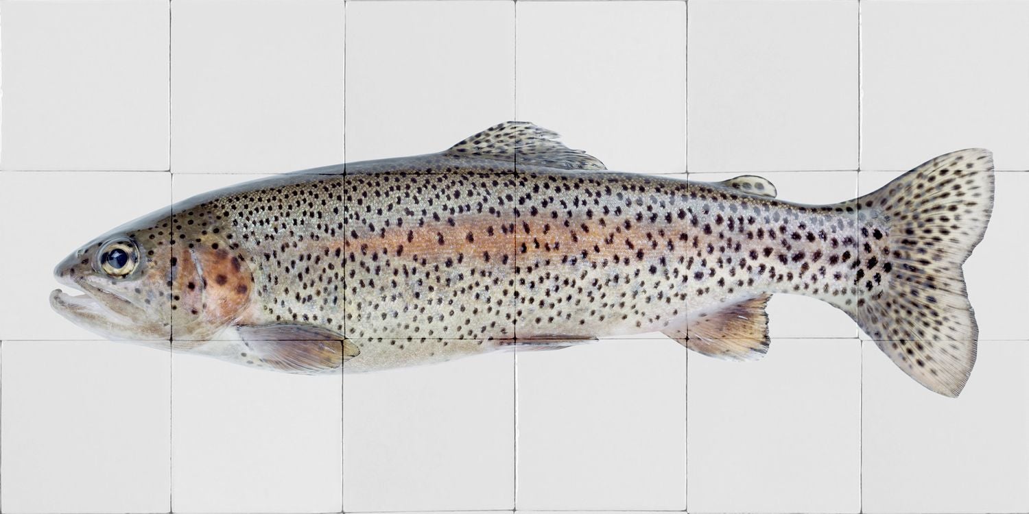 ESTAhome Wandtattoo Fisch Grau und Lachsrosa - 97 x 48,5 cm - 159031