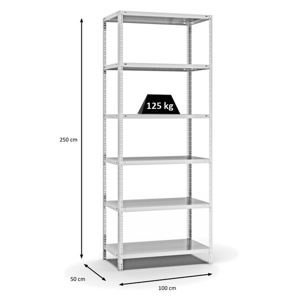 PROREGAL Fachbodenregal Schraubsystem Light-Duty Grundregal HxBxT 250 x 100 x 50 cm 6 Ebenen Fachlast 125 kg Beidseitig Nutzbar Lichtgrau