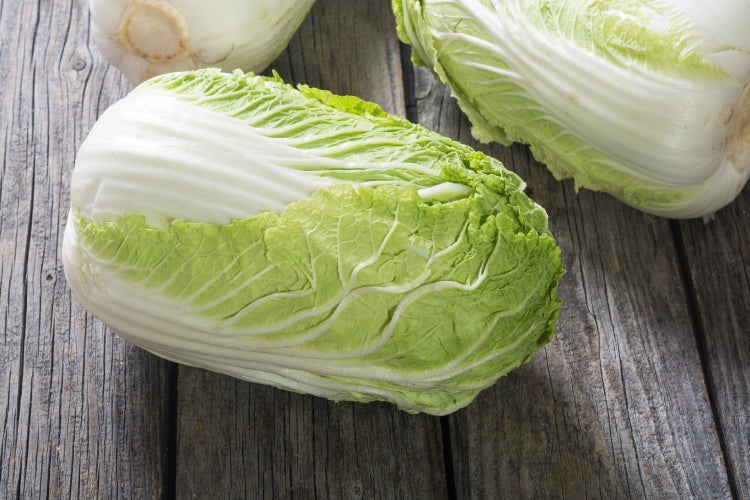 SAFLAX Garden to go - BIO - Chinakohl - Granat - Brassica rapa ssp. pekinensis - 40 Samen - Mit Topf, Klima - Deckel und Anzuchtsubstrat