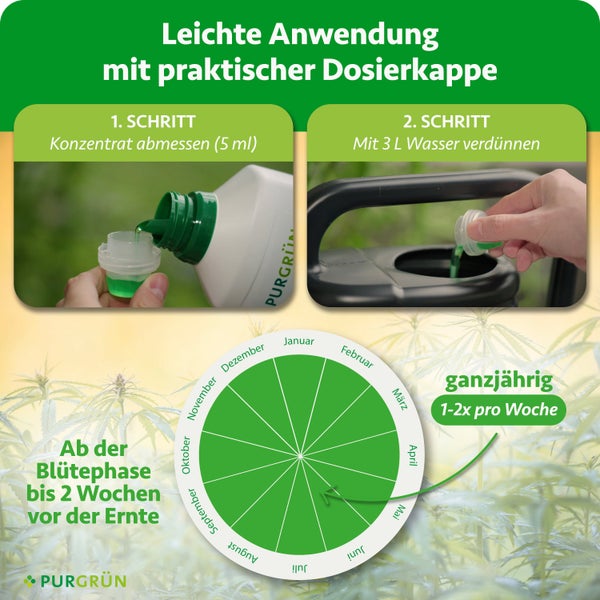 Infografik Purgrün Dünger: 5 Milliliter auf 3 Liter Wasser. Ganzjährig 1 bis 2 Mal pro Woche, Blütephase bis vor Ernte. Purgrün Logo.
