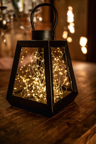FRANK FLECHTWAREN | LED-Leuchtdraht Soundeffect, 150 Lichter, METALL, ca. Gesamtlänge 15 Meter, ohne Batterien, für den Außenbereich geeignet