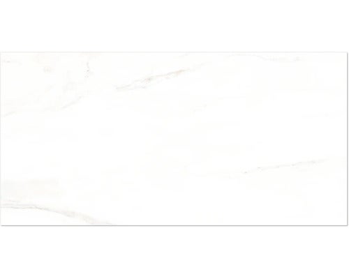 Wand- und Bodenfliese Premium Calacatta 30x60 cm glänzend rektifiziert