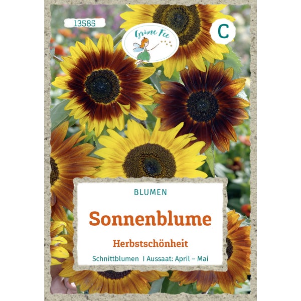 Sonnenblume Herbstschönheit Samen von Grüne Fee