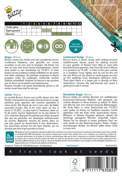 Leatherleaf Sedge Bronco Pflanzeninformationen