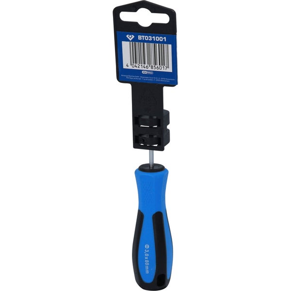 Schlitzschraubendreher mit blauem Griff