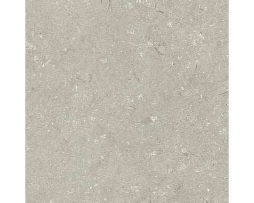 Wand- und Bodenfliese Shellstone taupe 60x60cm