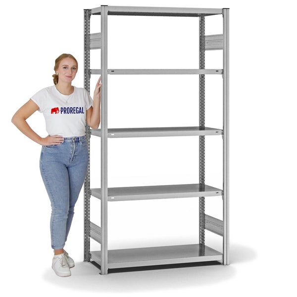PROREGAL Fachbodenregal Stecksystem T-Profil Light-Duty Grundregal HxBxT 200 x 100 x 40 cm 5 Ebenen Fachlast 145 kg Beidseitig Nutzbar Verzinkt