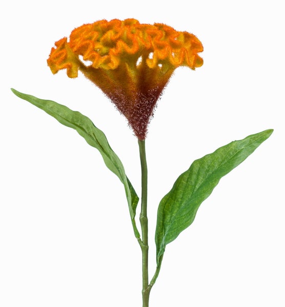 Künstliche Celosia Blume mit fächerförmigem Blütenkopf und grünem Stiel.