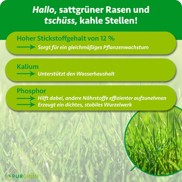 Infografik zu Rasendünger mit Stickstoff für Wachstum, Kalium für den Wasserhaushalt und Phosphor für die Wurzelbildung. Purgrün Logo.