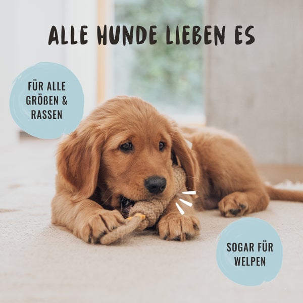 Ein Hundewelpe spielt mit einem Seilspielzeug. Text im Bild: Alle Hunde lieben es. Für alle Größen und Rassen. Sogar für Welpen.