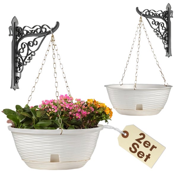 Zwei Hängeampeln mit Wandhalterung, inklusive Kettenaufhängung und Pflanzen.