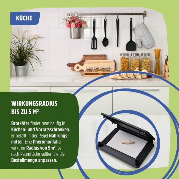 Brotkäferfalle giftfreie Pheromonfalle