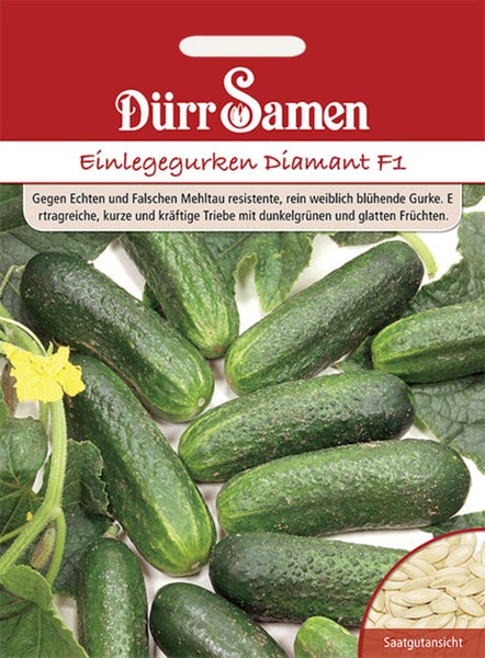 Dürr Samen Logo, Samentüte für Einlegegurken Diamant F1 mit Abbildung von Gurken, Blättern, einer Blüte und einer Nahaufnahme der Samen.