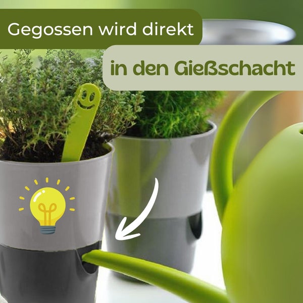 Eine Gießkanne befüllt den integrierten Gießschacht eines grauen Kunststoff-Blumentopfes mit Kräutern.