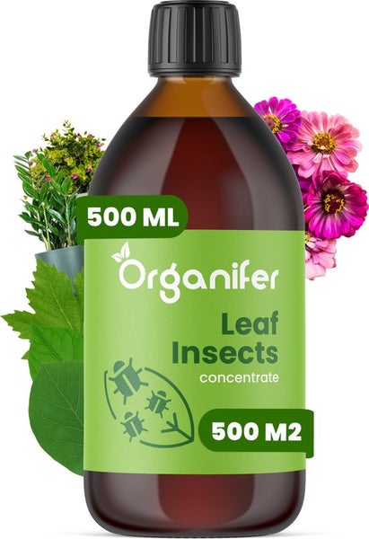 Organifer Blatt Insekten Konzentrat 500 ml