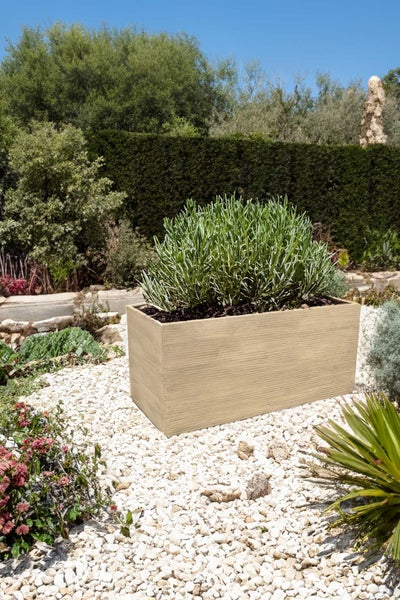 Rechteckiger Pflanzkasten in Holzoptik mit grüner Pflanze im Garten auf hellem Kies.