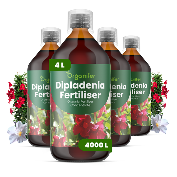 Organifer Dipladenia Dünger, organisches Konzentrat, 4 Liter Set für 4000 Liter Gießwasser.