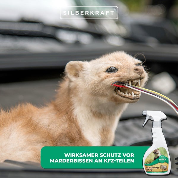 Silence Marder-Frei Spray zur Marderabwehr am Auto, schützt Kabel, Schläuche und Dämmmaterial im Motorraum, Spray für Garage, Carport, Stellplatz und Parkplatz, einfache Anwendung