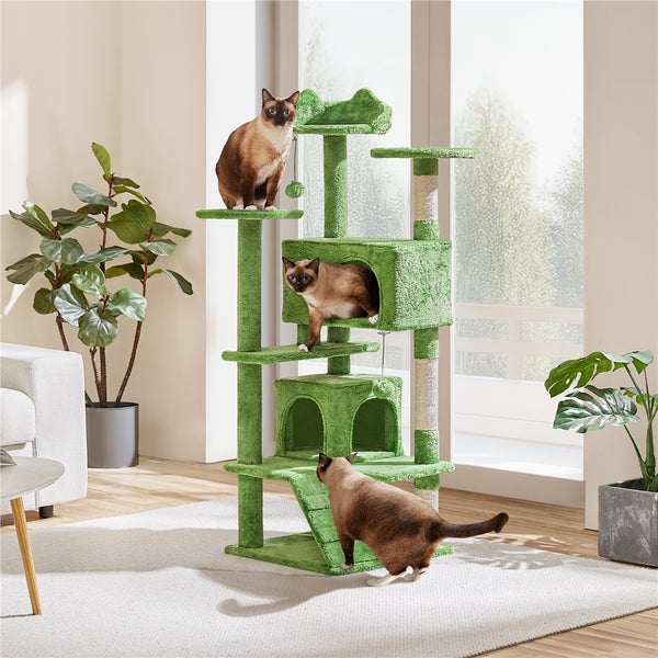 Katzenkratzbaum mit drei Siamkatzen in hellem Wohnzimmer