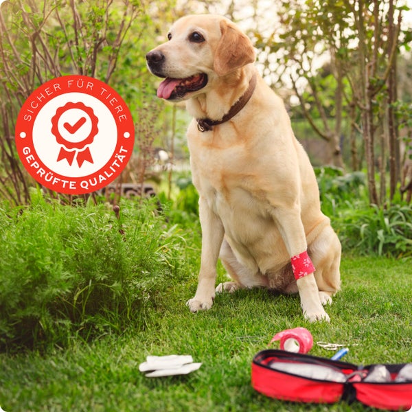 PURAHELP Erste Hilfe Set Hund und Katze - 51 Teile Inkl. Zeckenzange, Pinzette, Tourniquet und vieles mehr - Hunde Erste Hilfe Set Erste Hilfe Hund Hundeapotheke