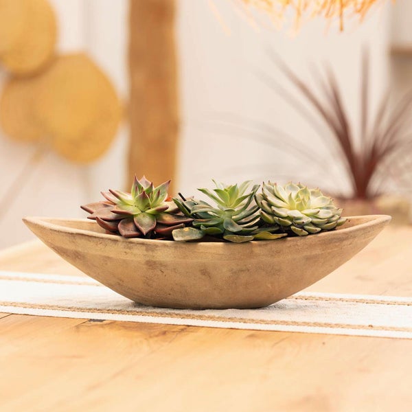 Dekorative Schale mit Sukkulenten auf einem Tisch