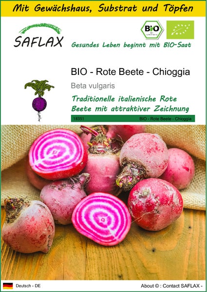 SAFLAX Anzucht Set - BIO - Rote Beete - Chioggia - Beta vulgaris - 70 Samen - Mit Mini-Gewächshaus, Anzuchtsubstrat und 2 Töpfen