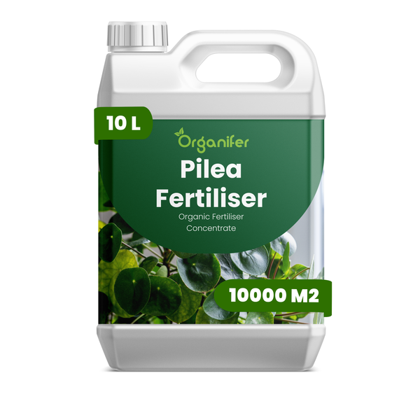 Organifer Pilea Dünger, organisches Düngerkonzentrat im 10 Liter Kanister, ausreichend für 10000 Quadratmeter.