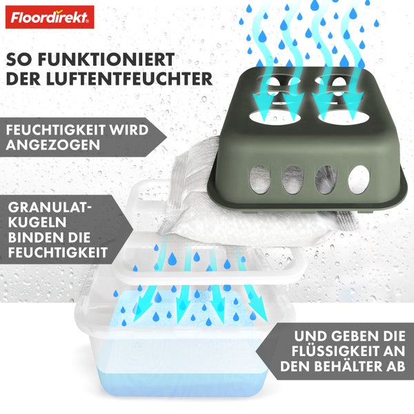 FLOORDIREKT Luftentfeuchter im 4er Set - Nachfüllbare & wiederverwendbare Raumentfeuchter - Hava - Grün
