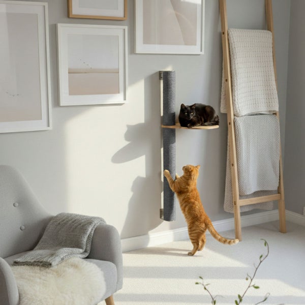 Wandmontierter Kratzbaum mit Liegefläche in einem Wohnraum mit zwei Katzen