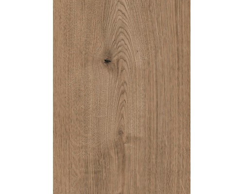 Dekorativer Eingangsbereich mit Fußmatte, Tür und Dekorationen.