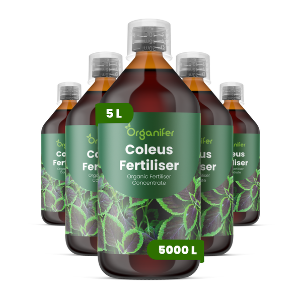 Fünf Flaschen Organifer Coleus Dünger, organisches Düngerkonzentrat, 5 Liter pro Flasche.