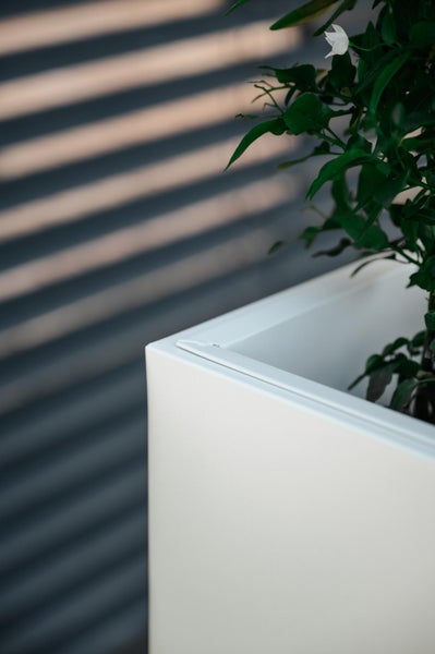 Detailansicht eines weißen Pflanzkübels mit einer grünen Pflanze und weißer Blüte in modernem Design.
