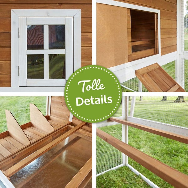 Detailansicht eines Hühnerstalls aus Holz mit Fenster, Hühnerleiter, Legenest mit ausziehbarer Wanne und Sitzstangen im Freilaufgehege.