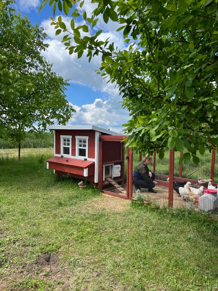 Großer Hühnerstall EZ Chicken Home 2,85m²  188 x 152 x 184 cm Rot hergestellt in EU