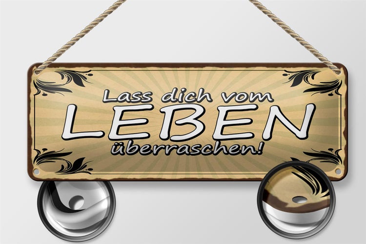 Blechschild Spruch 27x10cm lass dich vom Leben überraschen Dekoration