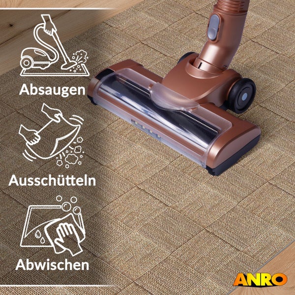 Geflochtener Teppich mit Karomuster wird abgesaugt, Symbole für Absaugen, Ausschütteln und Abwischen, ANRO Logo.