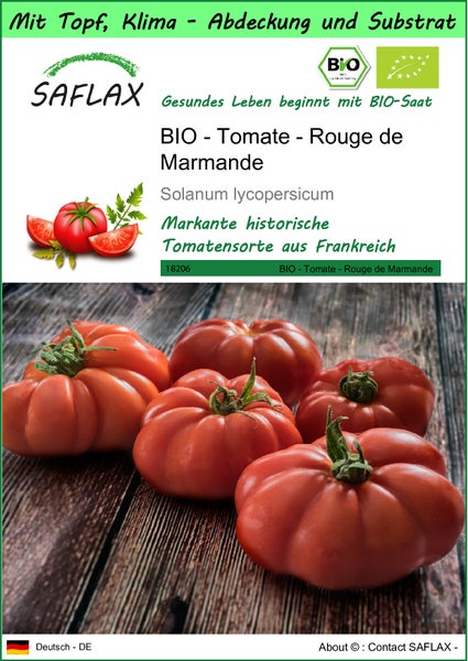 SAFLAX Garden to go - BIO - Tomate - Rouge de Marmande - Solanum lycopersicum - 10 Samen - Mit Topf, Klima - Deckel und Anzuchtsubstrat