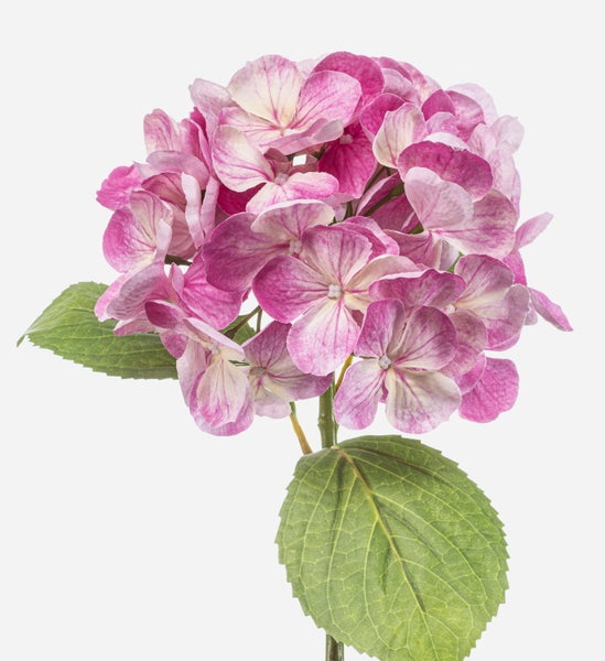 Nahaufnahme eines Blattes einer künstlichen Hortensie mit Stängel und Blüten.