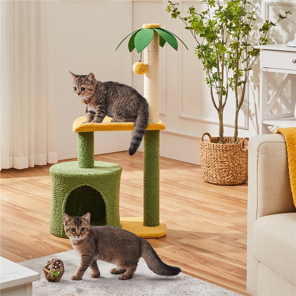 Katzenkratzbaum mit zwei Katzen in einem Wohnzimmer