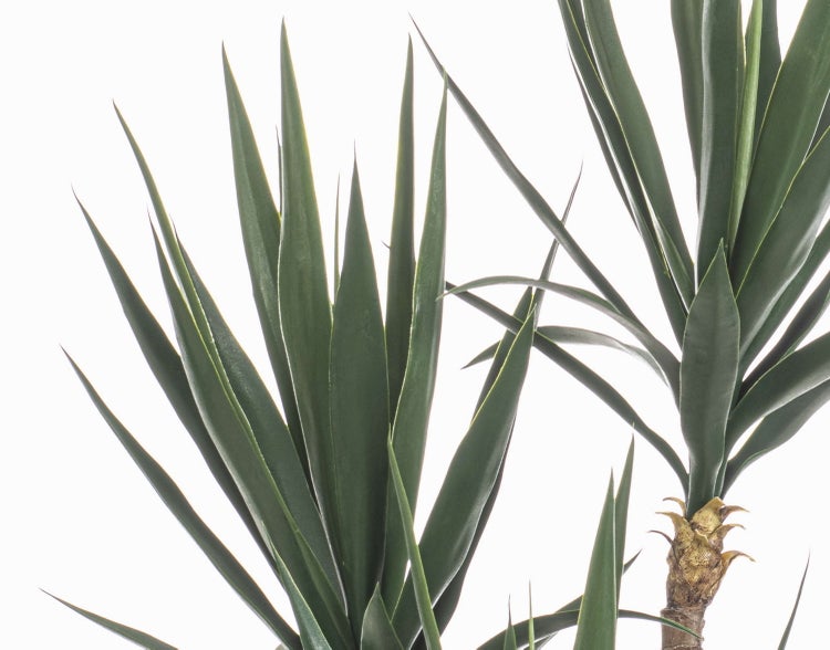 Künstliche Yucca-Palme mit strukturierten braunen Stämmen und spitzen grünen Blättern.