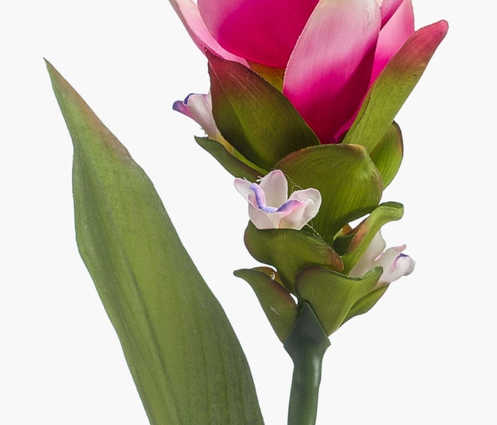 Künstliche Palme im schwarzen Kunststofftopf für den Innenbereich.