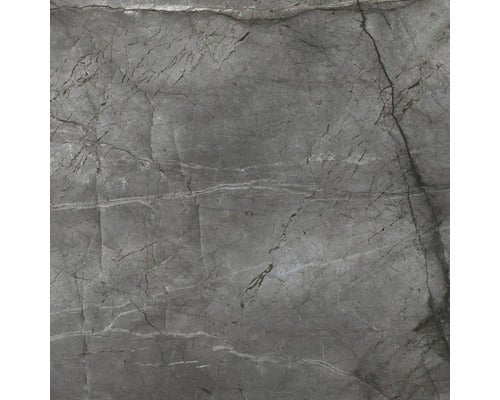 Wand und Bodenfliese Root Silver 100x100cm, rektifiziert