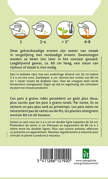 Anweisungen für die Aussaat von Erbsen