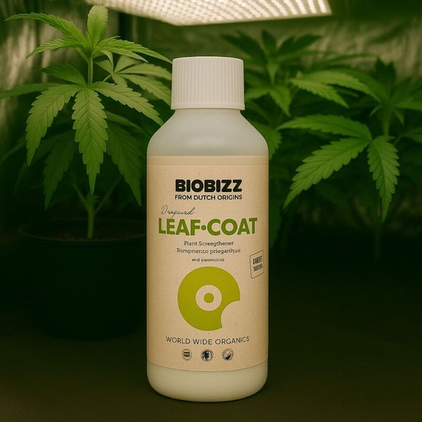 BioBizz Leaf-Coat Pflanzenstärkungsmittel in einer Kunststoffflasche vor grünen Pflanzen in einem hellen Innenraum unter einer Pflanzenlampe.